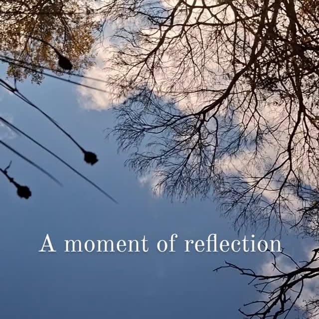 Post by troyscottsmith1