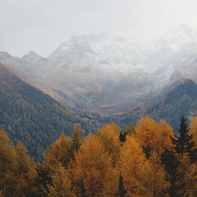 Post by bushcraftspain