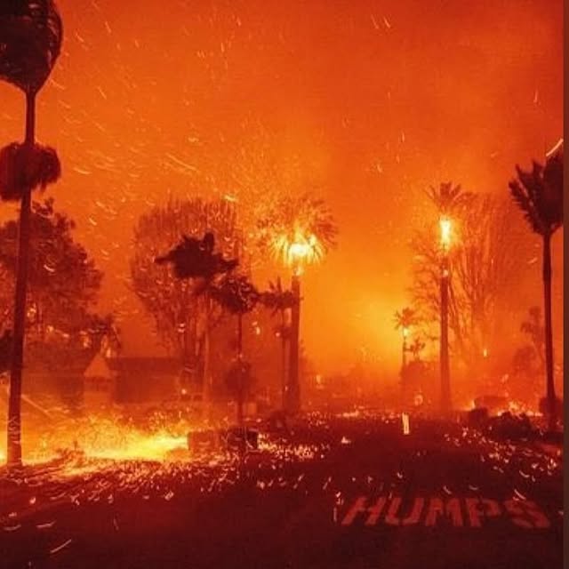 Post by stephanedebourgies