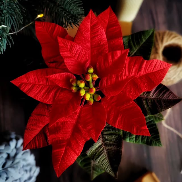 Post by territoryofflowers