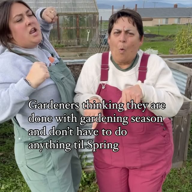 Post by portageviewfarm