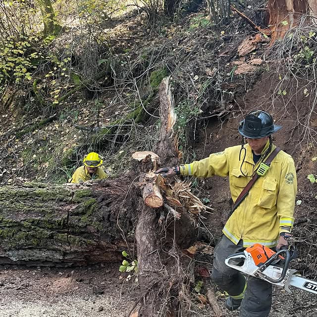 Post by marincountyfire