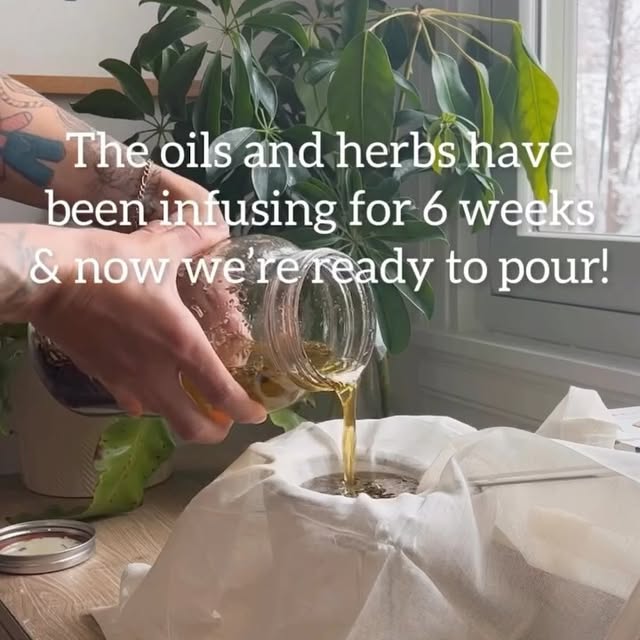 Post by wildcraft_birthandbotanicals