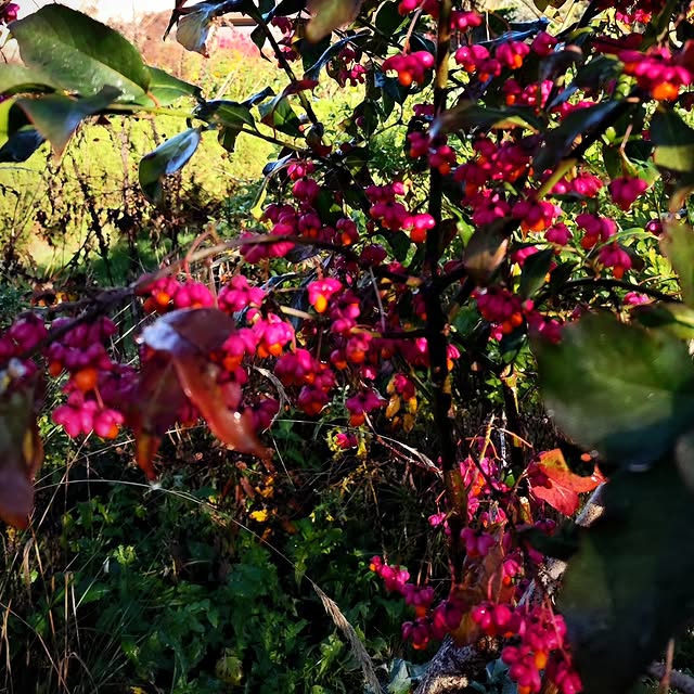 Post by rasalaurinaviciene