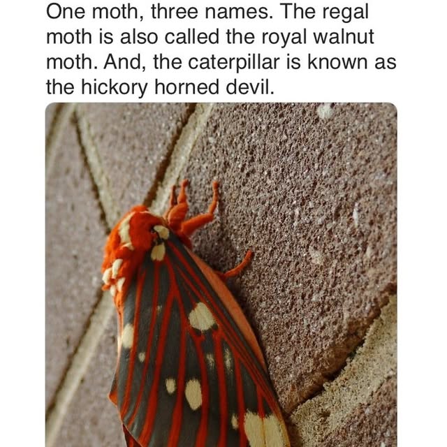 Post by jerryscience