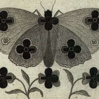 Post by blumenhausmagazine