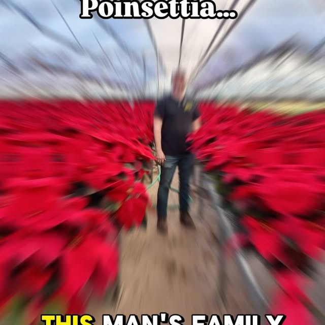 Post by tannertheplanter