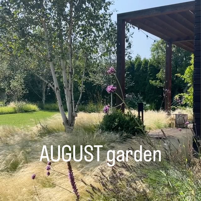 Post by gardenroom.kp