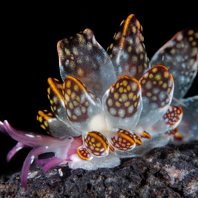 Post by michaels_bubbles