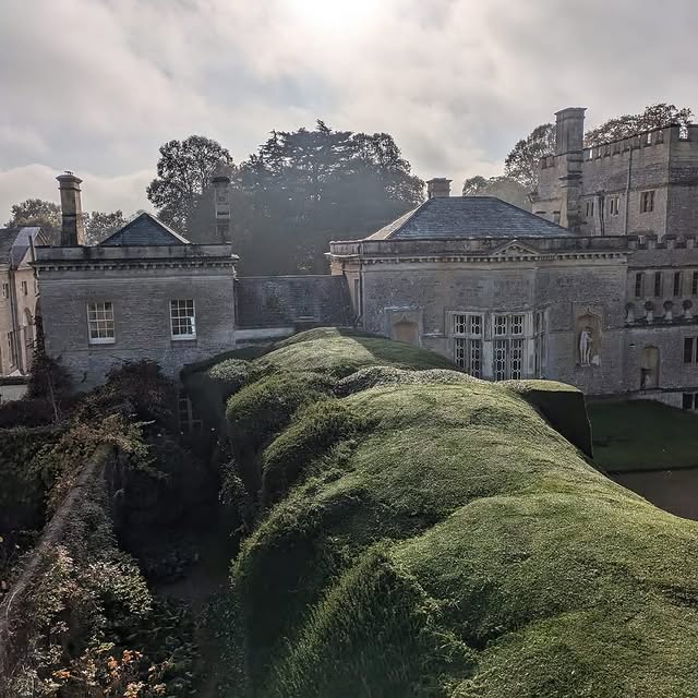 Post by roushamgardens