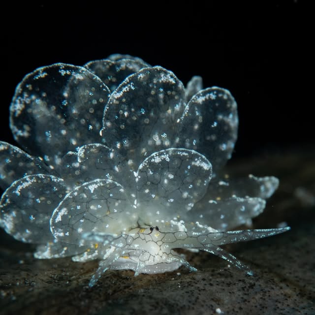 Post by michaels_bubbles