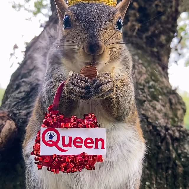 Post by ardilla.maravilla