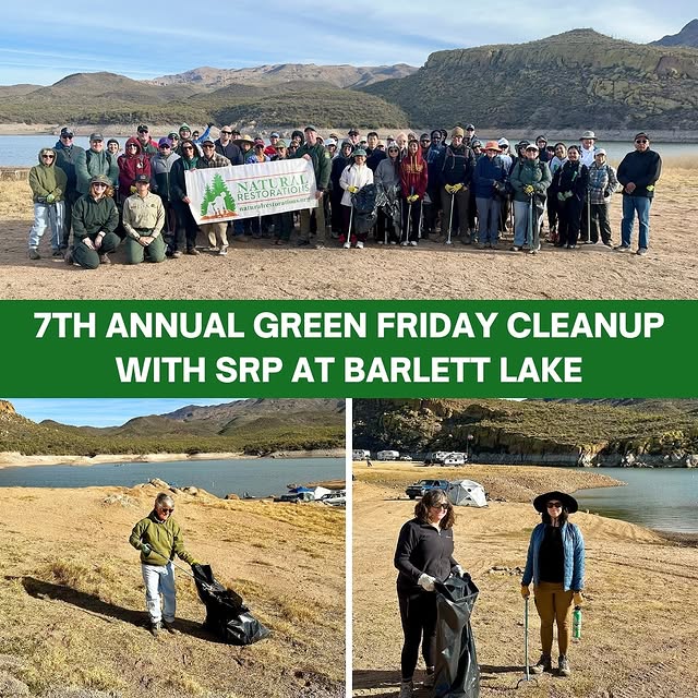 Post by tontonationalforest