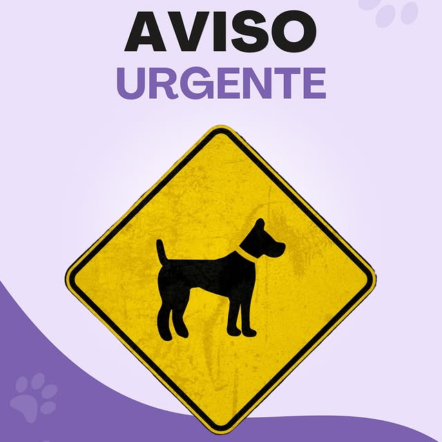 Post by tudosobrecachorros