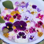 emi's profile picture