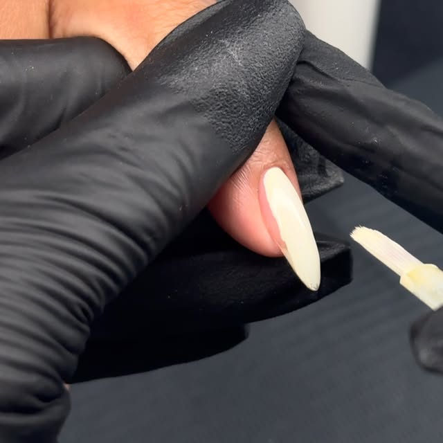 Post by clawedbycami