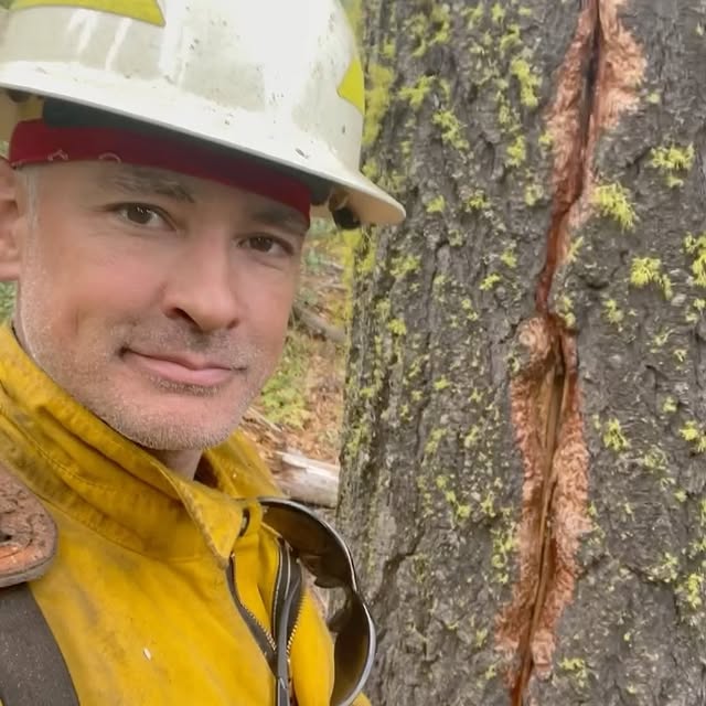 Post by thejosephpowell