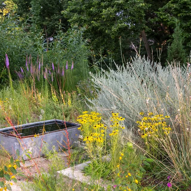 Post by kellydnorris