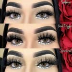 Lash Vendors's profile picture