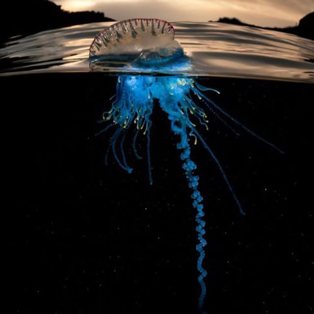 Post by mattysmithphoto