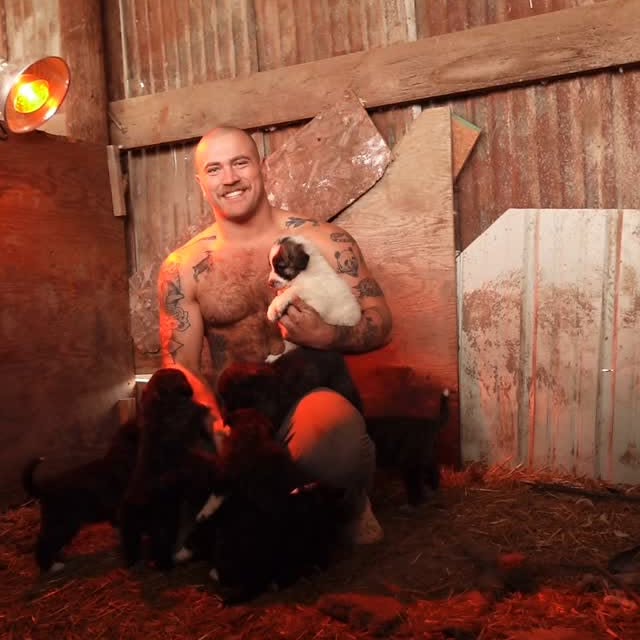 Post by thejackedrancher