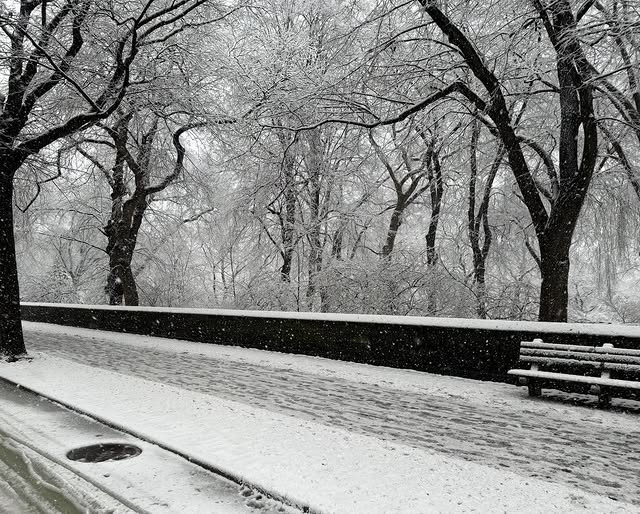 Post by lucasandlucaslandarch