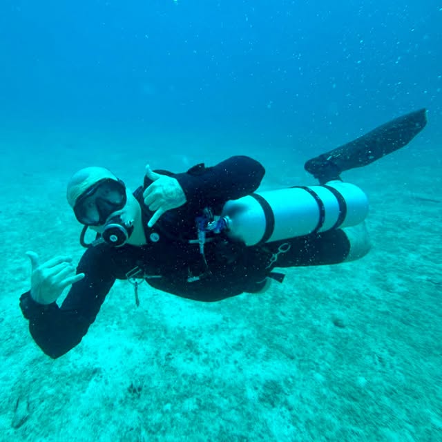 Post by kingkongdivingsg