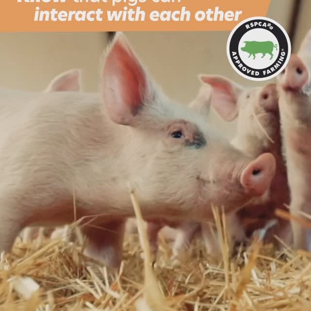 Post by rspcaaustralia