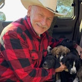 pawsitive personals's profile picture