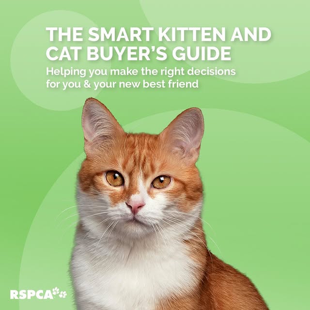 Post by rspcaaustralia