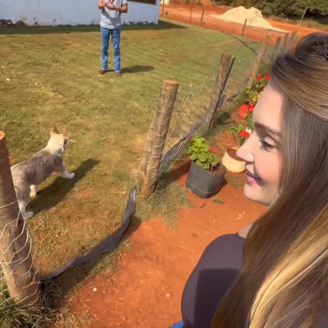 Post by brunasimek