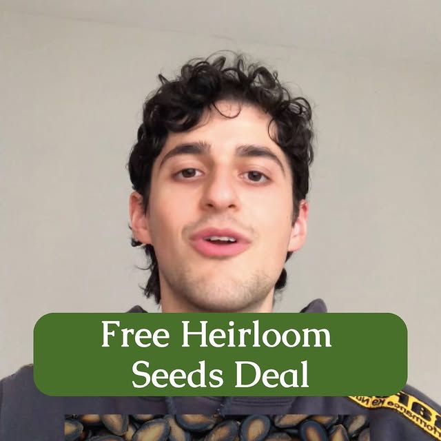 Post by myhealthforward