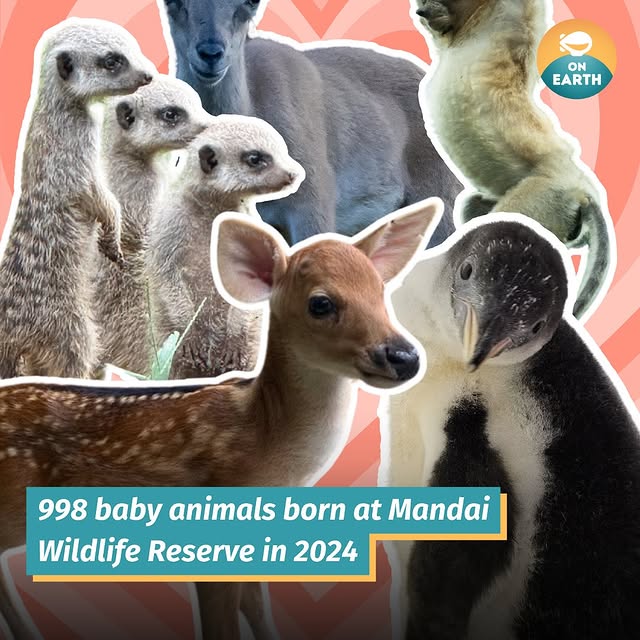 Post by mothershiponearth