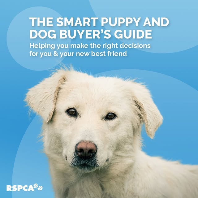 Post by rspcaaustralia