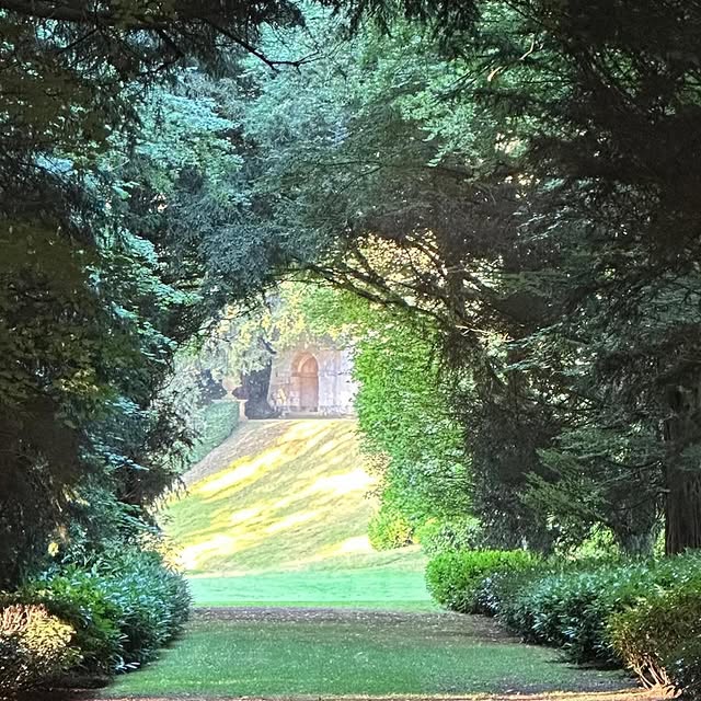 Post by roushamgardens