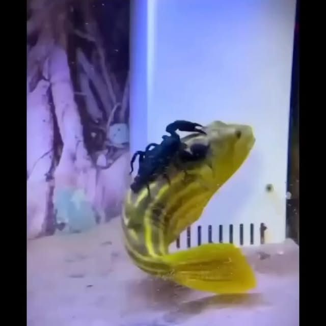 Post by menteempreendedora