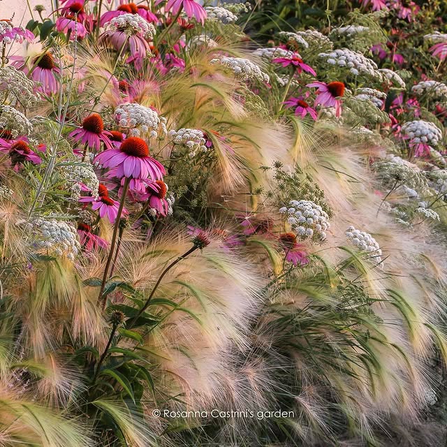 Post by rosannacastrinigardens