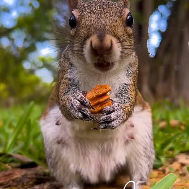 Post by ardilla.maravilla