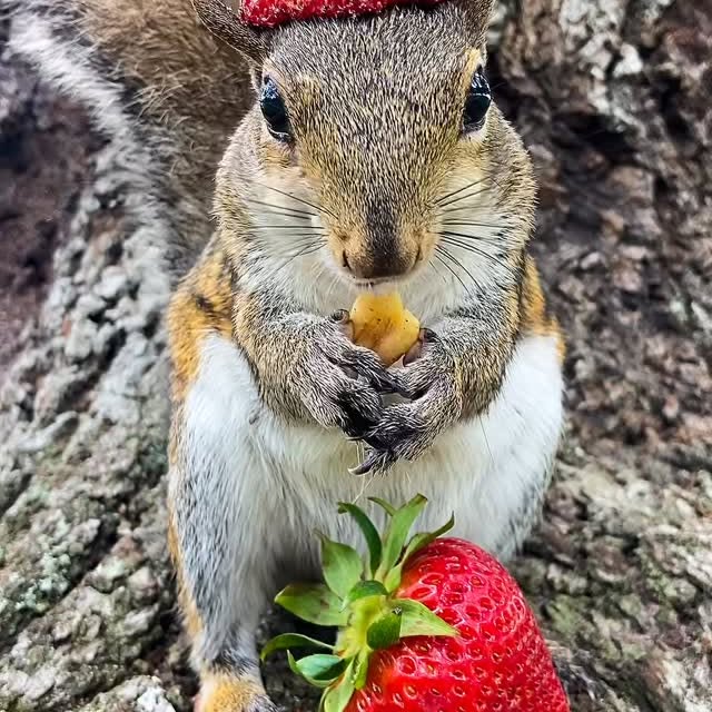 Post by ardilla.maravilla