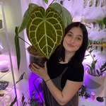 Kelly’s collection's profile picture