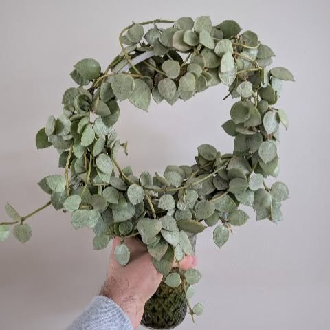 Post by philobrandon