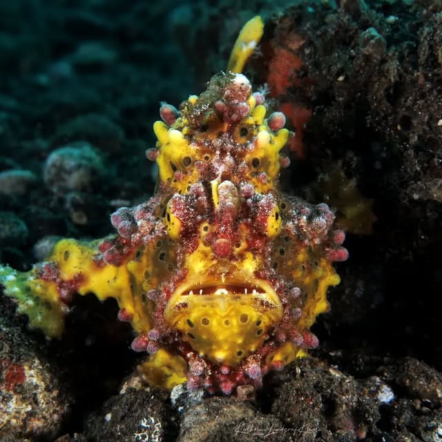 Post by kathrin_underwater