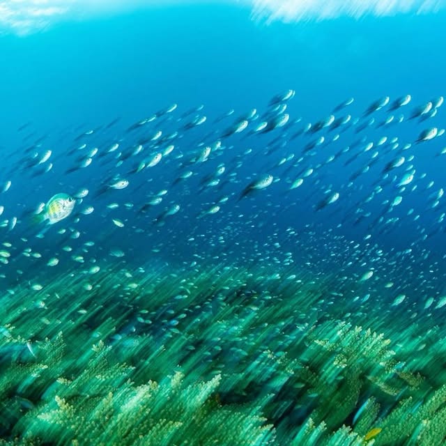 Post by underthesea_perfection