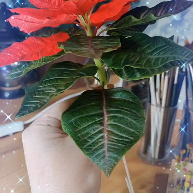 Post by territoryofflowers