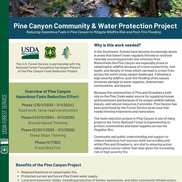 Post by tontonationalforest