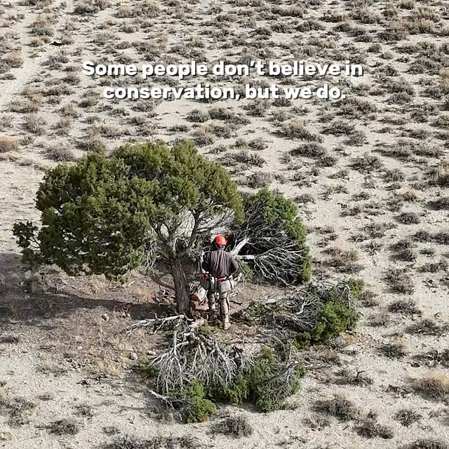 Post by nevada_fuels