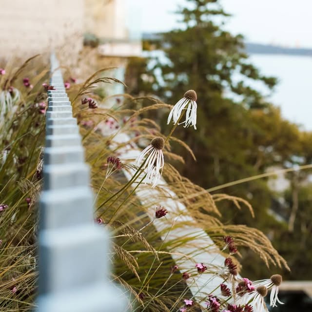 Post by botanica_design