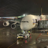 Alesh Aviation & Travel's profile picture