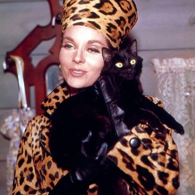 Post by thevampireswardrobe