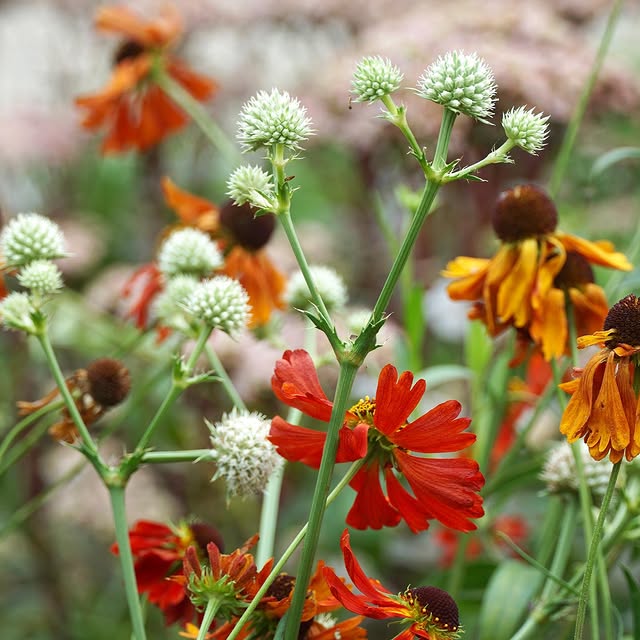 Post by studiolindalavoir